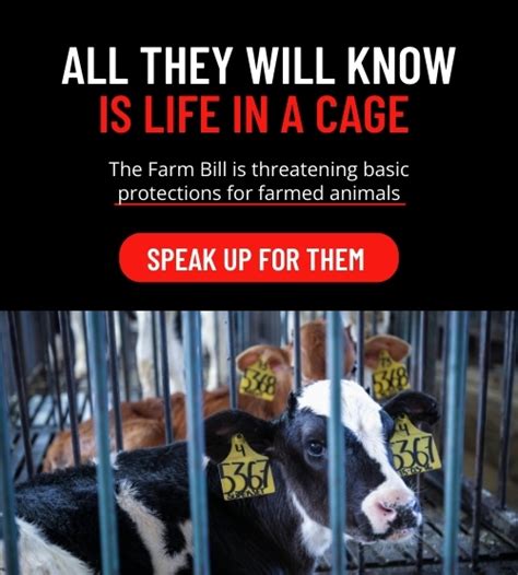 Animal Equality: Protecting Animals Worldwide.